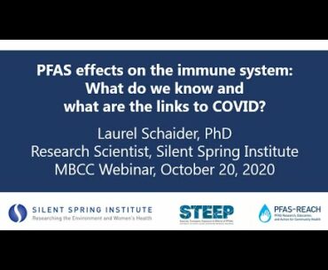 PFAS Effects on the Immune System:  What Do We Know and What are the Links to COVID 19