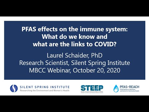 PFAS Effects on the Immune System:  What Do We Know and What are the Links to COVID 19