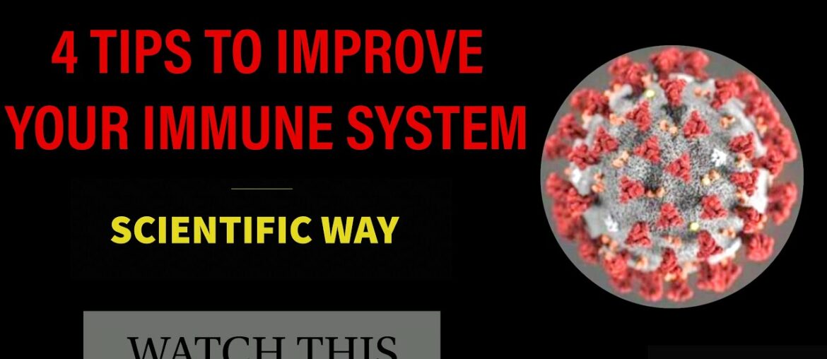 4 Steps to Improve Your Immunity The Scientific Way | INFLUENCER EYE FITNESS