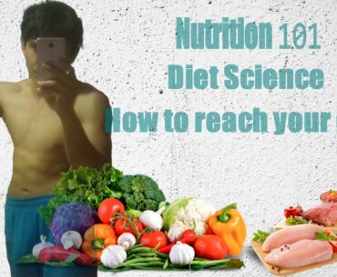 Nutrition 101 | How to reach your nutrition goals