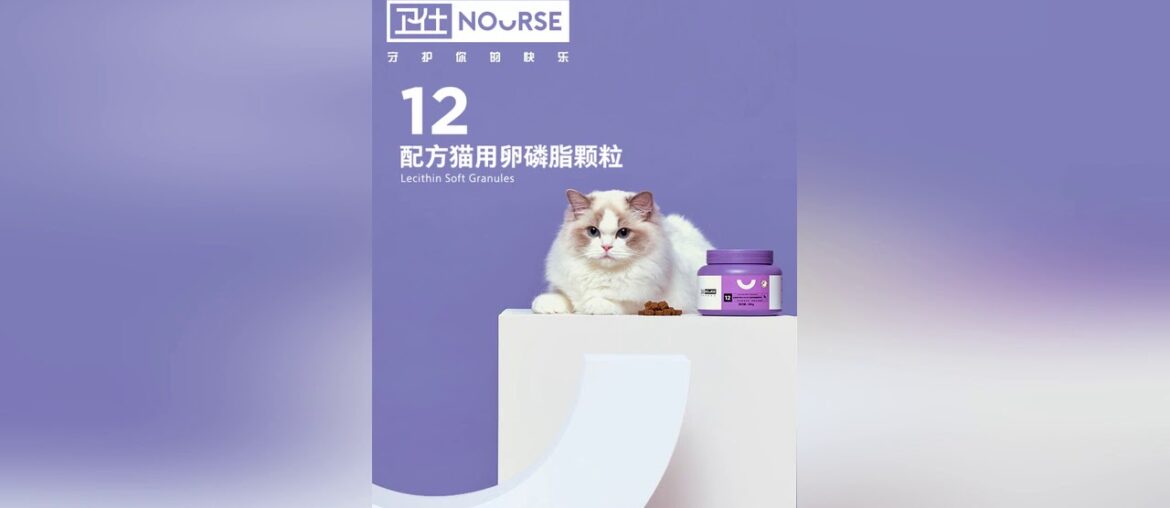 Cheap Pet cat special beauty hair lecithin contains natural fish oil phospholipid supplement nutrit