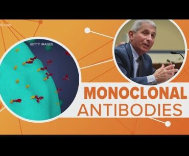 Could monoclonal antibodies hold us off until we find a COVID-19 vaccine?