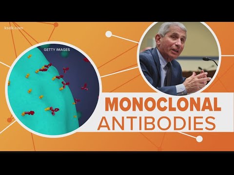 Could monoclonal antibodies hold us off until we find a COVID-19 vaccine?