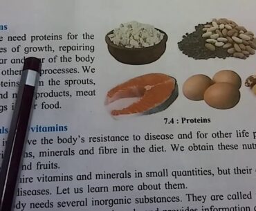 6th science | 7. Nutrition and Diet | Carbohydrates,  Fats , Proteins,  Minerals,  vitamins