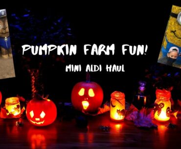 Hello Fall | Pumpkin Farm Visit | Aldi Haul