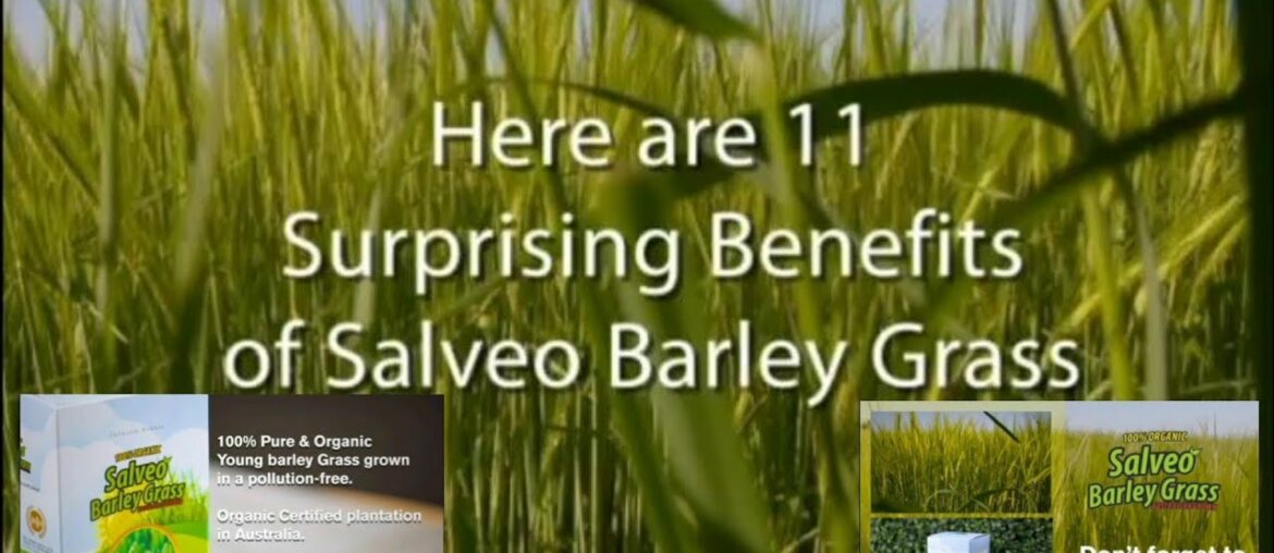 What Is Barley Grass and The Benefits To Our Health