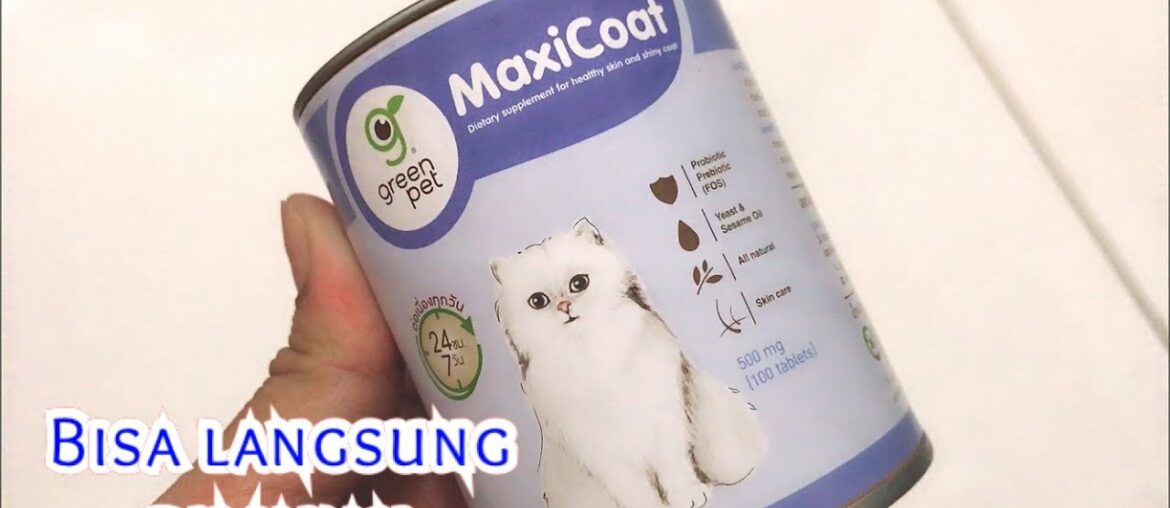 Vitamin Bulu lebat untuk kucing, Maxicoat. Saingan CATFORTAN, Murah tapi hasilnya WOW!