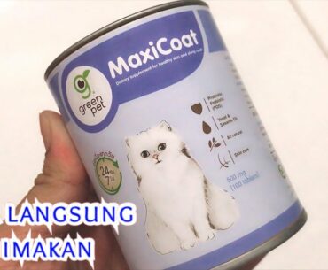 Vitamin Bulu lebat untuk kucing, Maxicoat. Saingan CATFORTAN, Murah tapi hasilnya WOW!