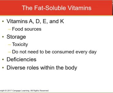 Week 7 Lecture Overview of Vitamins and Vitamin A