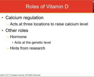 Week 7 Lecture Vitamin D