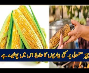 The cure for many ailments is hidden in it | Corn | Nutrition |  Facts |  Health Benefits