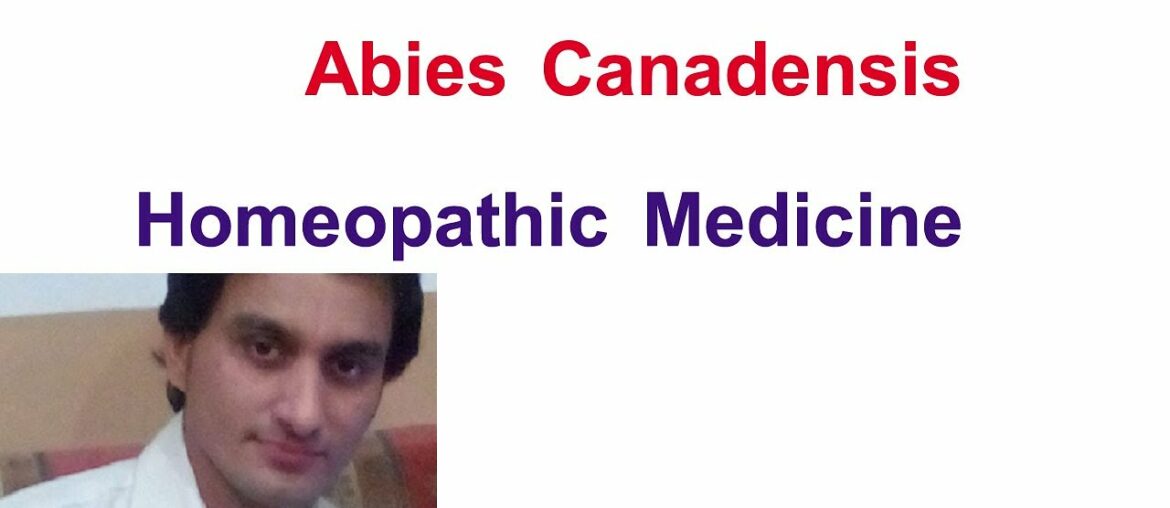 Abies Canadensis Homeopathic Medicine in urdu in hindi | Dr Faisal Afaq