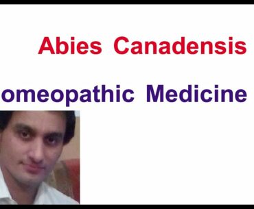 Abies Canadensis Homeopathic Medicine in urdu in hindi | Dr Faisal Afaq