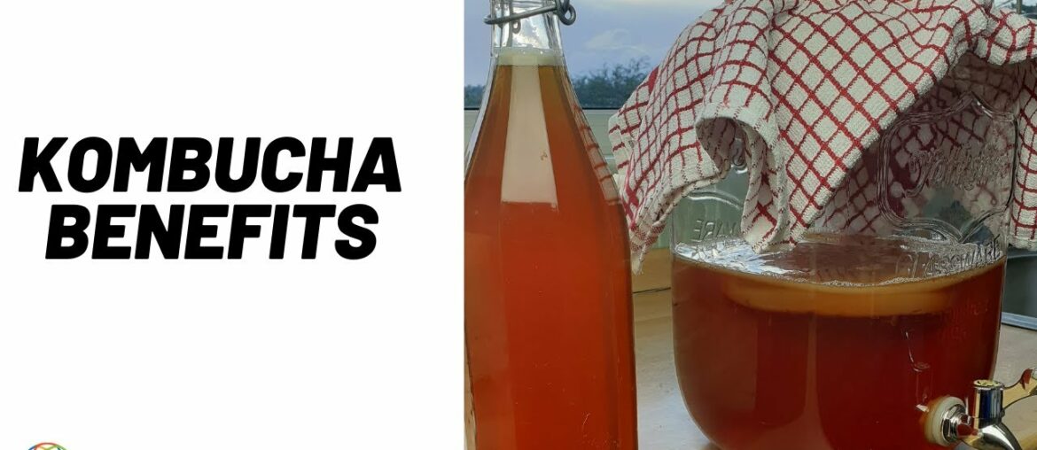 Kombucha Health Benefits | What does KOMBUCHA does for your body