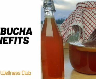 Kombucha Health Benefits | What does KOMBUCHA does for your body