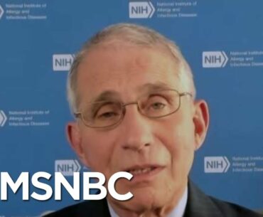 Dr. Fauci: 77,000 New Covid-19 Cases A Day Is 'A Precarious Place To Be' For The U.S. | MTP Daily