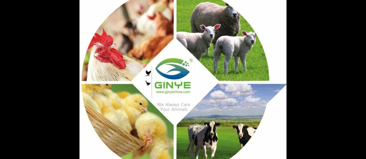 Vitamin E Selenium Sol. for poultry / livestock.(10%+0.15%) Veterinary medicine nutritional additive