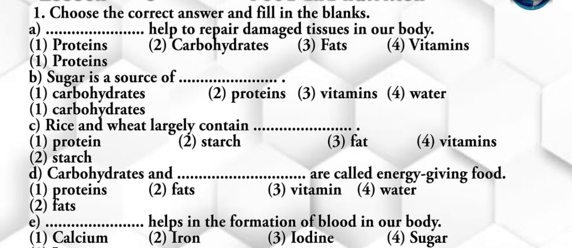 Food and nutrition class 5 science lesson 6 solutions