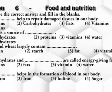 Food and nutrition class 5 science lesson 6 solutions