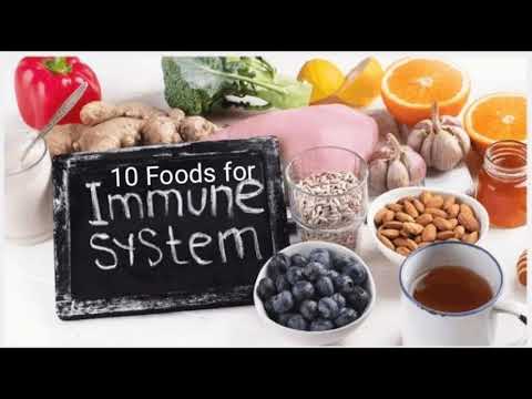 10 Best Food For Immune System