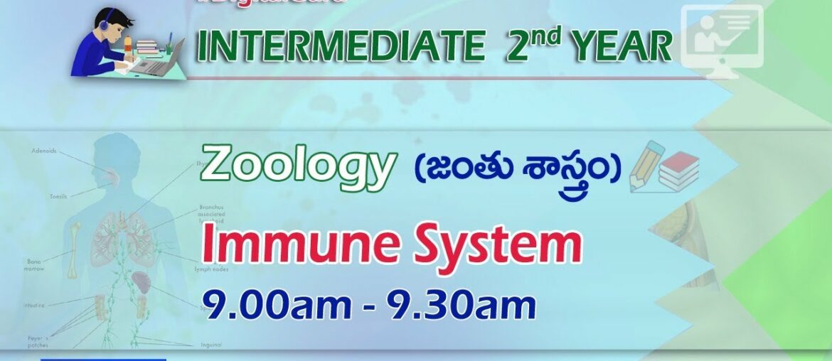 2nd Inter Zoology || Immune System || Intermediate Education || October 29, 2020