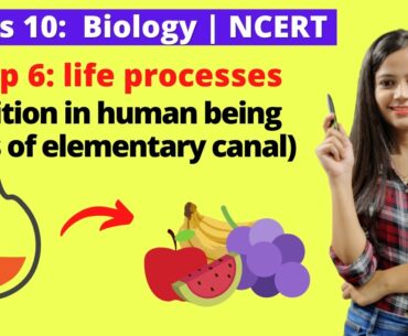 10th Biology NCERT, Life Processes,  Nutrition in Human being in Life Processes, #nutrition