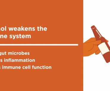 What Weakens the Immune System?