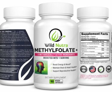 Wild Nutra Methylfolate - A Top Quality Folate plus B Vitamins Supplement