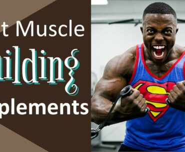 Best Muscle Building Supplements