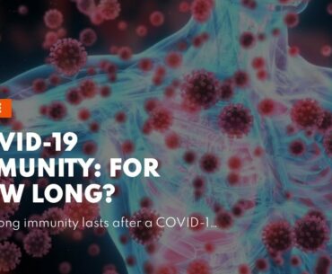 COVID-19 Immunity: For How Long?