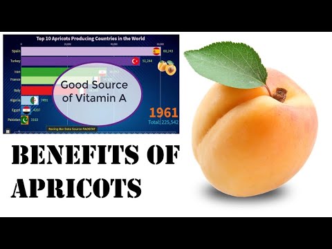 Benefits of Apricot || Top producing countries || The Nutritional Heavyweight Among Fruits