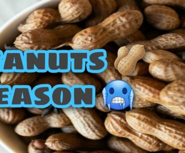 Peanut season | Winter Season | Peanuts nutrition facts and benefits | Peanuts vitamins | Must watch