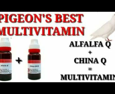 pigeon's Best Multivitamin ! Homeopathic ! DR A KHAN