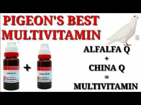 pigeon's Best Multivitamin ! Homeopathic ! DR A KHAN