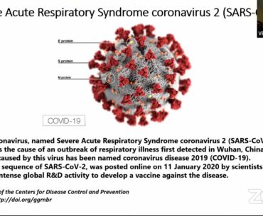 Slovak-American Scientists weigh in: Vaccines & Covid-19 antibodies