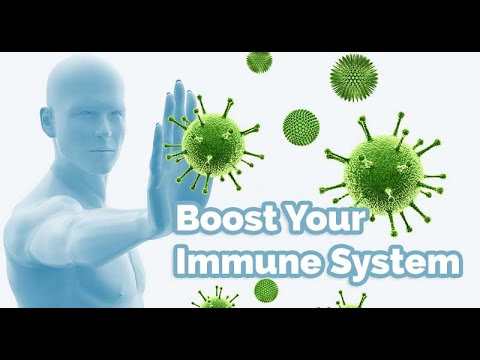 Boost Your  Immunity