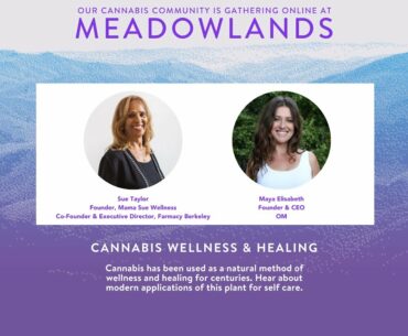 Cannabis Wellness & Healing