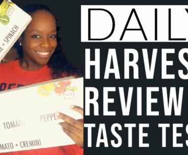 Daily Harvest Flatbread Review W/Coupon Great Vegan Option