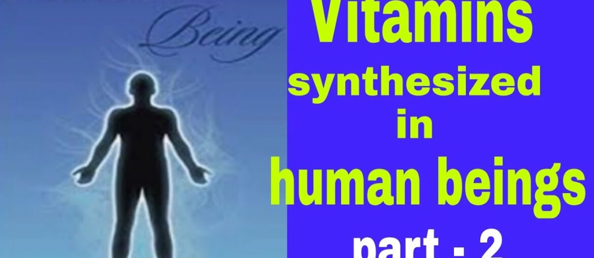 #vitamins synthesized in humans#main functions of vitamins#