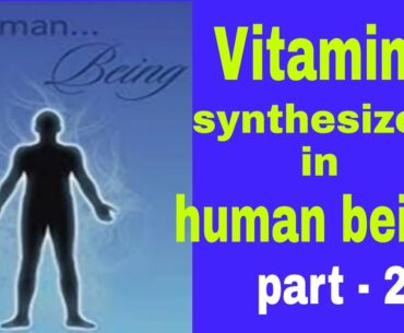 #vitamins synthesized in humans#main functions of vitamins#