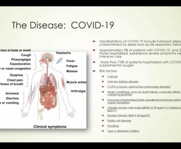 Coronavirus: Separating Fact from Fiction