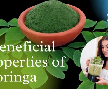 5 beneficial properties of Moringa oleifera