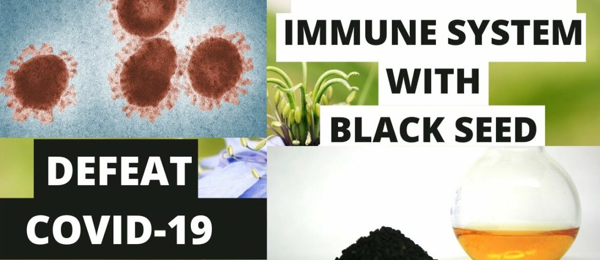 COVID-19 and Herbal Medicine: Improve Your Immune System With Black Seed.