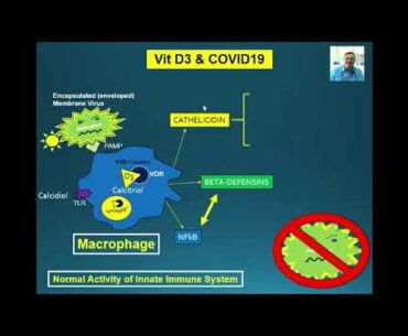 VItamin D3 & COVID-19: Important Info & Impressive Clinical Trial Results - Dr. Eduardo Beltran