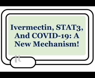 Ivermectin, STAT3, And COVID-19: A Possible New Mechanism To Explain Efficacy Against SARS-CoV-2!