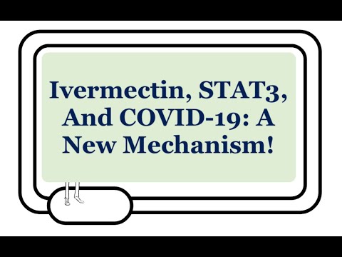 Ivermectin, STAT3, And COVID-19: A Possible New Mechanism To Explain Efficacy Against SARS-CoV-2!