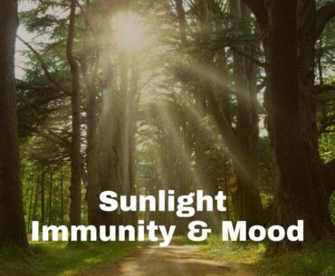 Sunlight, Immunity and Mood: Exploring the Connection