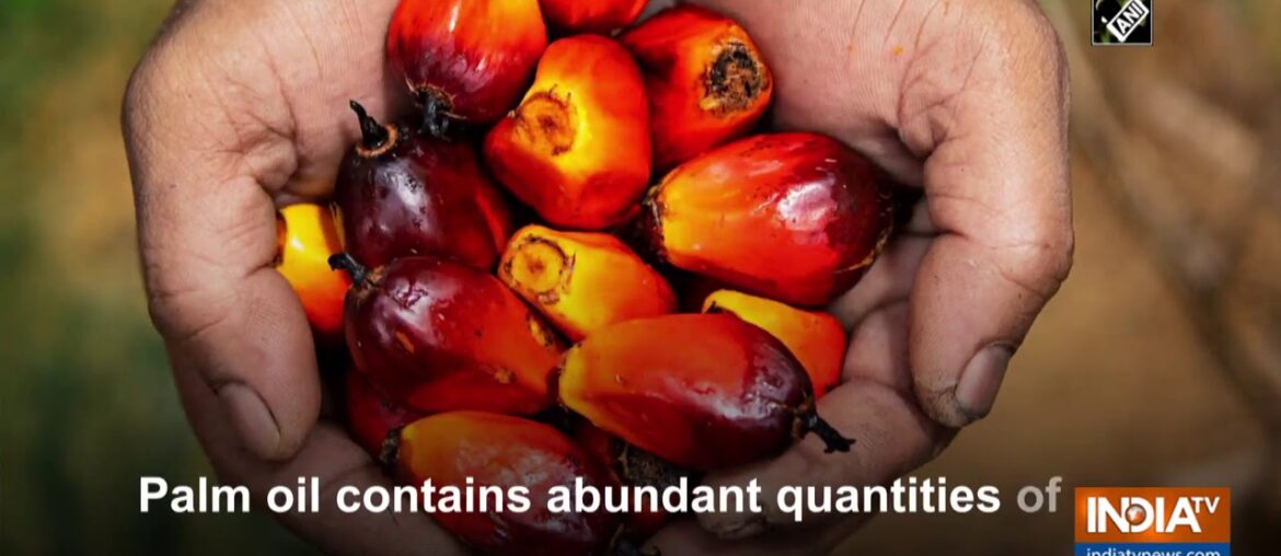 Vitamin E from palm oil useful in boosting immune response based on studies on liver cells