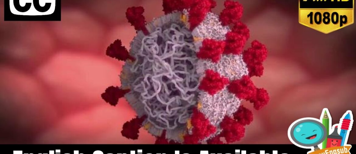 How Does The Body Fight COVID-19? (Immune System) | Coronavirus Documentary HD [CC Available]