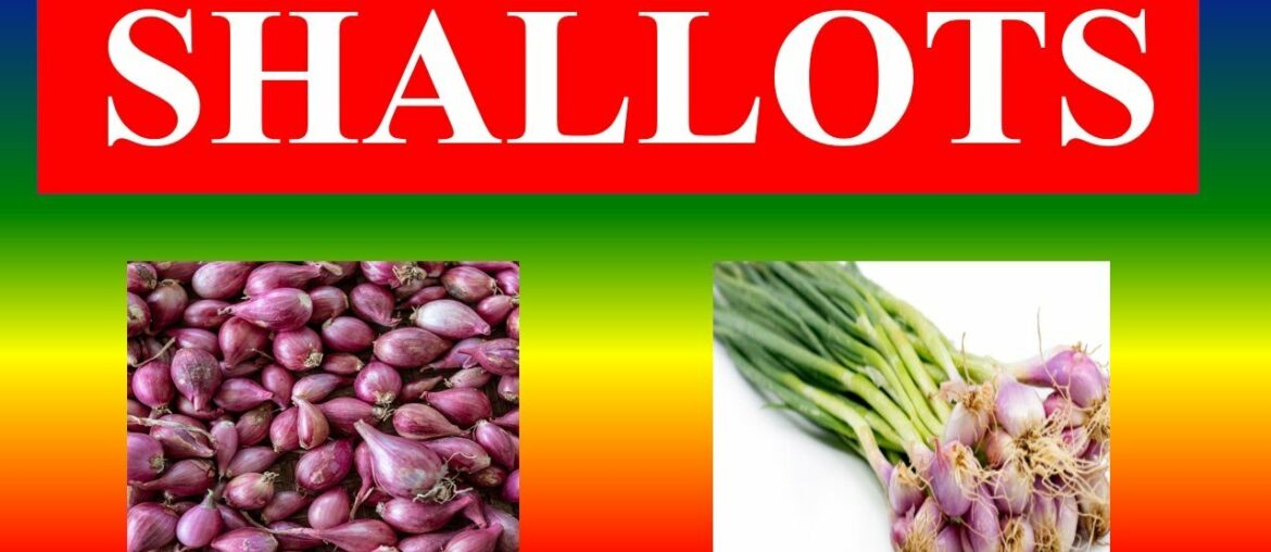 SHALLOTS - HEALTH BENEFITS AND NUTRITION FACTS